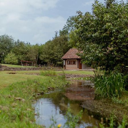 Гостевой дом El Molino De Bonaco Сан-Висенте-де-ла-Баркера Экстерьер фото