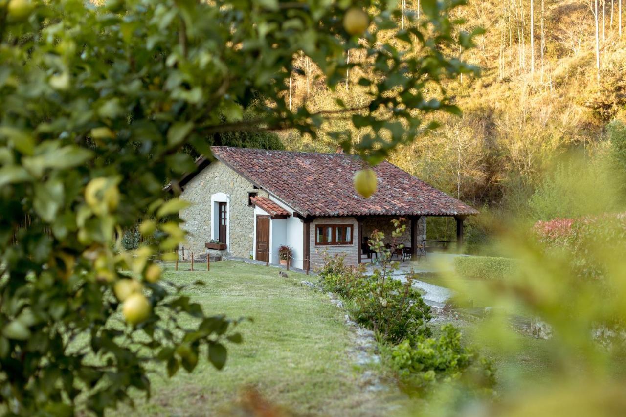 Гостевой дом El Molino De Bonaco Сан-Висенте-де-ла-Баркера Экстерьер фото